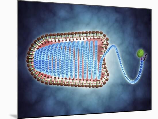 Conceptual Image of Lyssavirus-null-Mounted Art Print