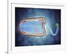 Conceptual Image of Lyssavirus-null-Framed Art Print