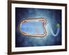 Conceptual Image of Lyssavirus-null-Framed Art Print