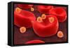 Conceptual Image of Malaria Parasites Within Red Blood Cells-null-Framed Stretched Canvas