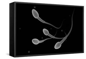 Conceptual Image of Male Sperm-null-Framed Stretched Canvas