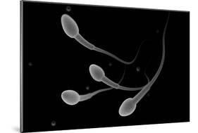 Conceptual Image of Male Sperm-null-Mounted Premium Giclee Print