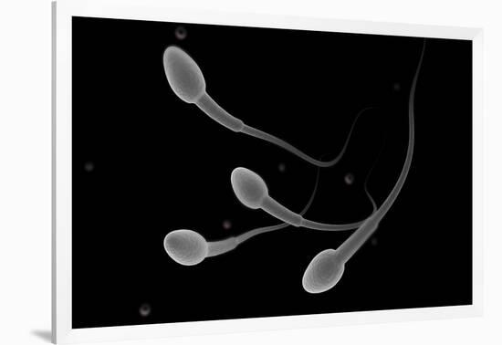 Conceptual Image of Male Sperm-null-Framed Art Print