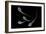 Conceptual Image of Male Sperm-null-Framed Art Print