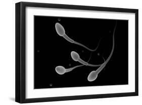 Conceptual Image of Male Sperm-null-Framed Art Print