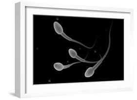 Conceptual Image of Male Sperm-null-Framed Art Print