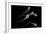 Conceptual Image of Male Sperm-null-Framed Art Print