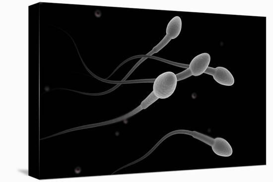 Conceptual Image of Male Sperm-null-Stretched Canvas