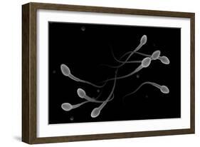 Conceptual Image of Male Sperm-null-Framed Art Print