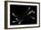 Conceptual Image of Male Sperm-null-Framed Art Print