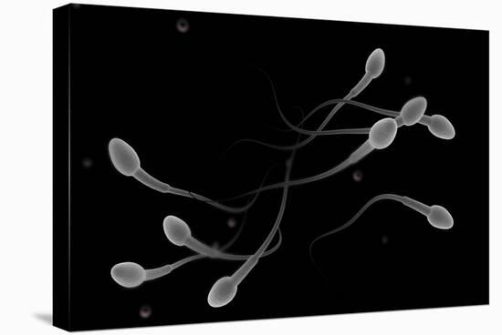 Conceptual Image of Male Sperm-null-Stretched Canvas