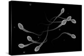 Conceptual Image of Male Sperm-null-Stretched Canvas