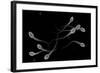 Conceptual Image of Male Sperm-null-Framed Art Print