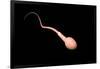 Conceptual Image of Male Sperm-null-Framed Art Print