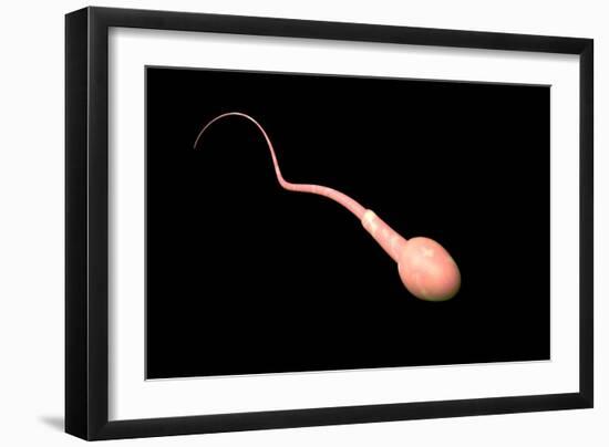 Conceptual Image of Male Sperm-null-Framed Art Print