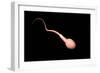 Conceptual Image of Male Sperm-null-Framed Art Print