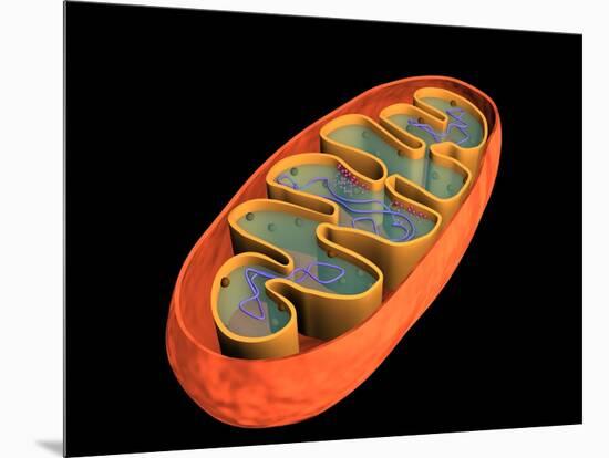 Conceptual Image of Mitochondria-null-Mounted Art Print