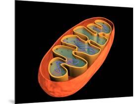 Conceptual Image of Mitochondria-null-Mounted Art Print