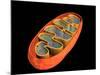 Conceptual Image of Mitochondria-null-Mounted Art Print