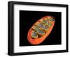 Conceptual Image of Mitochondria-null-Framed Art Print