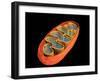 Conceptual Image of Mitochondria-null-Framed Art Print