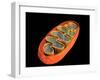 Conceptual Image of Mitochondria-null-Framed Art Print