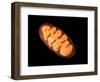 Conceptual Image of Mitochondria-null-Framed Art Print