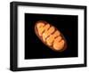 Conceptual Image of Mitochondria-null-Framed Art Print