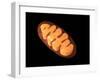 Conceptual Image of Mitochondria-null-Framed Art Print