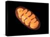 Conceptual Image of Mitochondria-null-Stretched Canvas