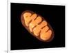 Conceptual Image of Mitochondria-null-Framed Art Print