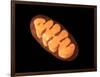 Conceptual Image of Mitochondria-null-Framed Art Print