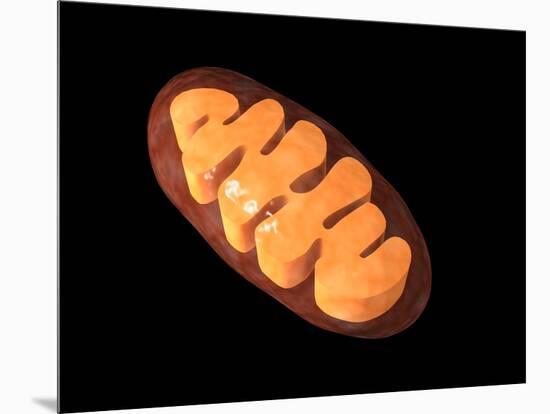 Conceptual Image of Mitochondria-null-Mounted Art Print