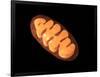 Conceptual Image of Mitochondria-null-Framed Art Print