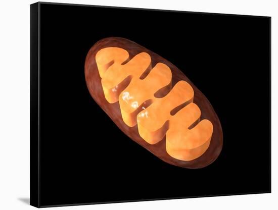 Conceptual Image of Mitochondria-null-Framed Stretched Canvas