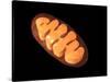 Conceptual Image of Mitochondria-null-Stretched Canvas