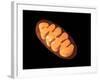 Conceptual Image of Mitochondria-null-Framed Art Print