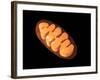 Conceptual Image of Mitochondria-null-Framed Art Print