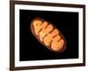 Conceptual Image of Mitochondria-null-Framed Art Print