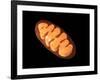 Conceptual Image of Mitochondria-null-Framed Art Print