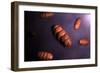 Conceptual Image of Mitochondria-null-Framed Art Print