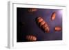 Conceptual Image of Mitochondria-null-Framed Art Print