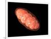 Conceptual Image of Mitochondria-null-Framed Art Print