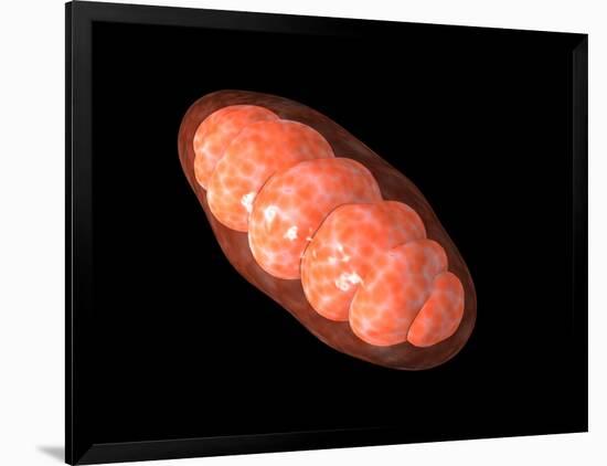 Conceptual Image of Mitochondria-null-Framed Art Print