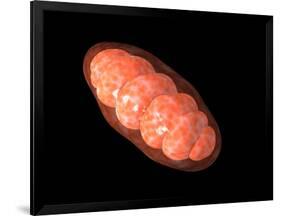 Conceptual Image of Mitochondria-null-Framed Art Print