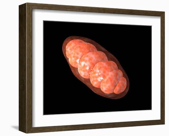 Conceptual Image of Mitochondria-null-Framed Art Print