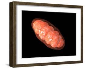 Conceptual Image of Mitochondria-null-Framed Art Print