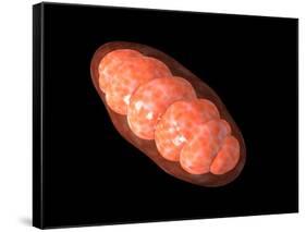 Conceptual Image of Mitochondria-null-Framed Stretched Canvas