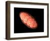 Conceptual Image of Mitochondria-null-Framed Art Print