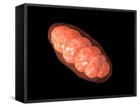 Conceptual Image of Mitochondria-null-Framed Stretched Canvas